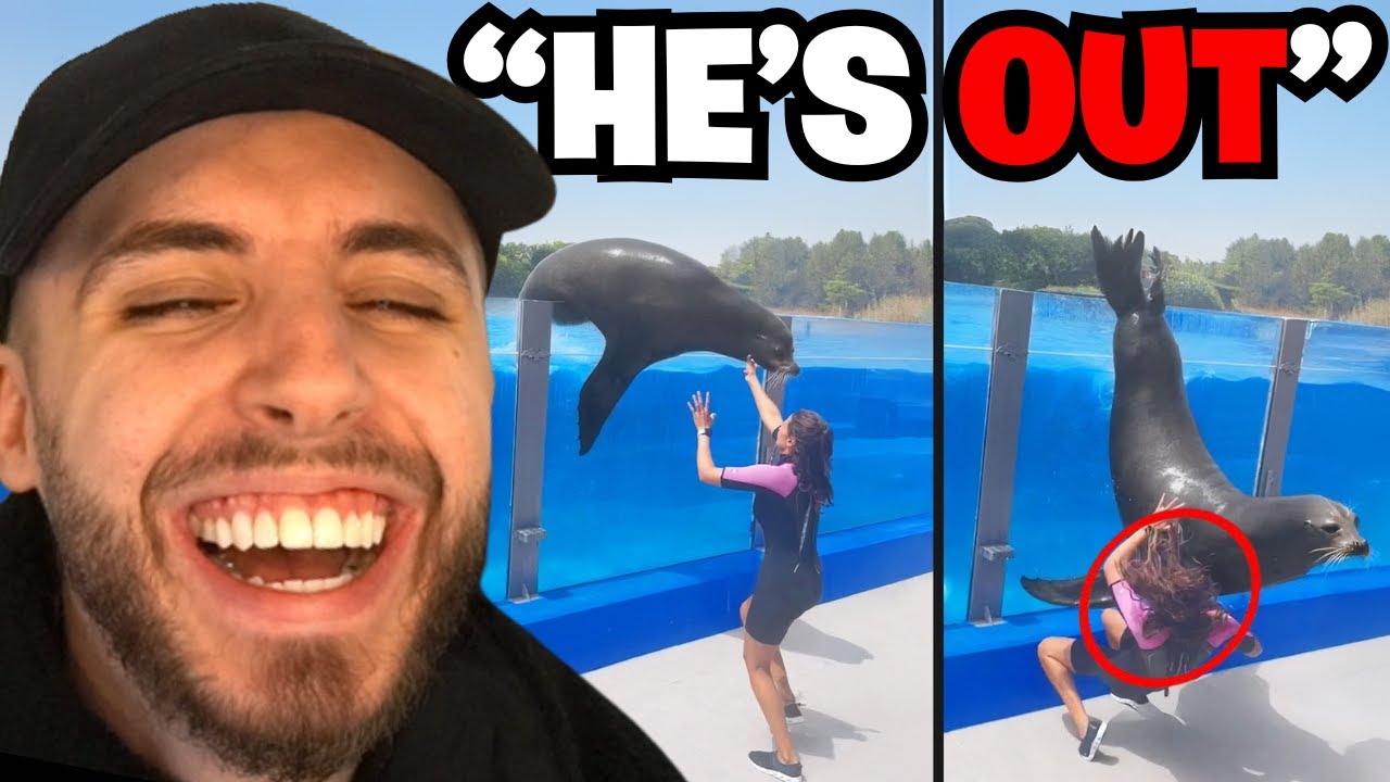 Best Fails of the Decade (Daily Dose of Internet)