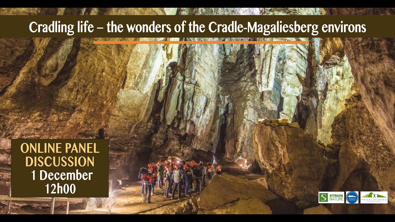 Cradling Life - the wonders of the Cradle-Magaliesberg environs