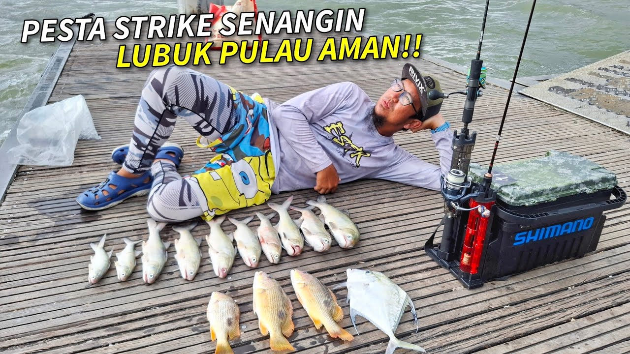Strike Senangin BERTUBI TUBI Bersama Tekong Terkenal Pulau Aman!!