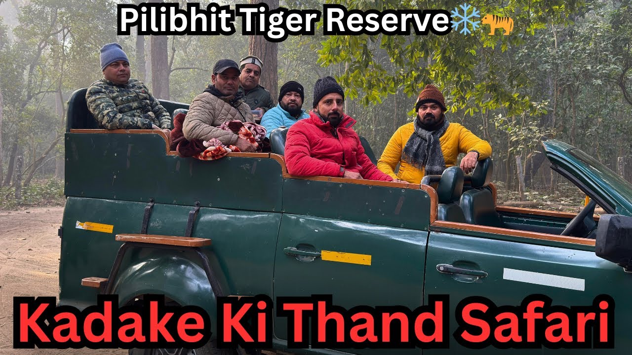 Freezing Foggy Morning in Pilibhit Tiger Reserve | Deer, Wild Rooster, Eagle & Guide Stories 🐅🥶