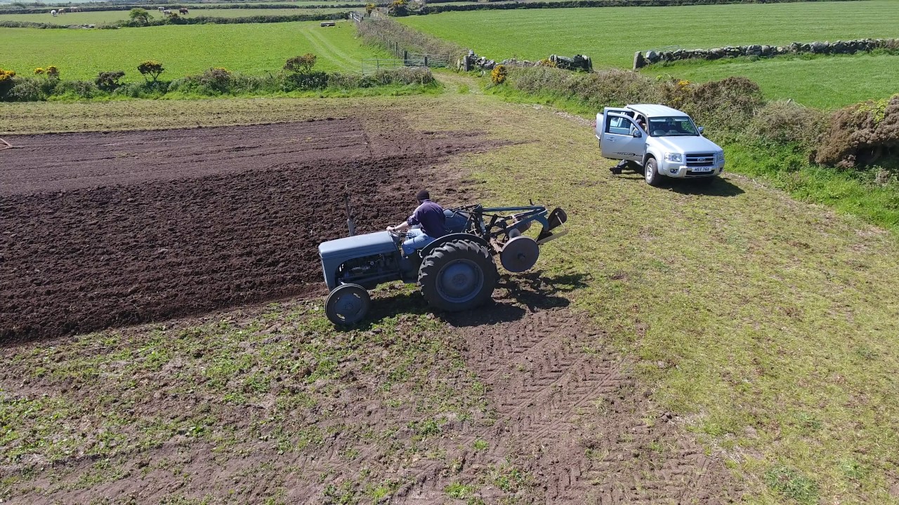 Ferguson TEF-20 ploughing
