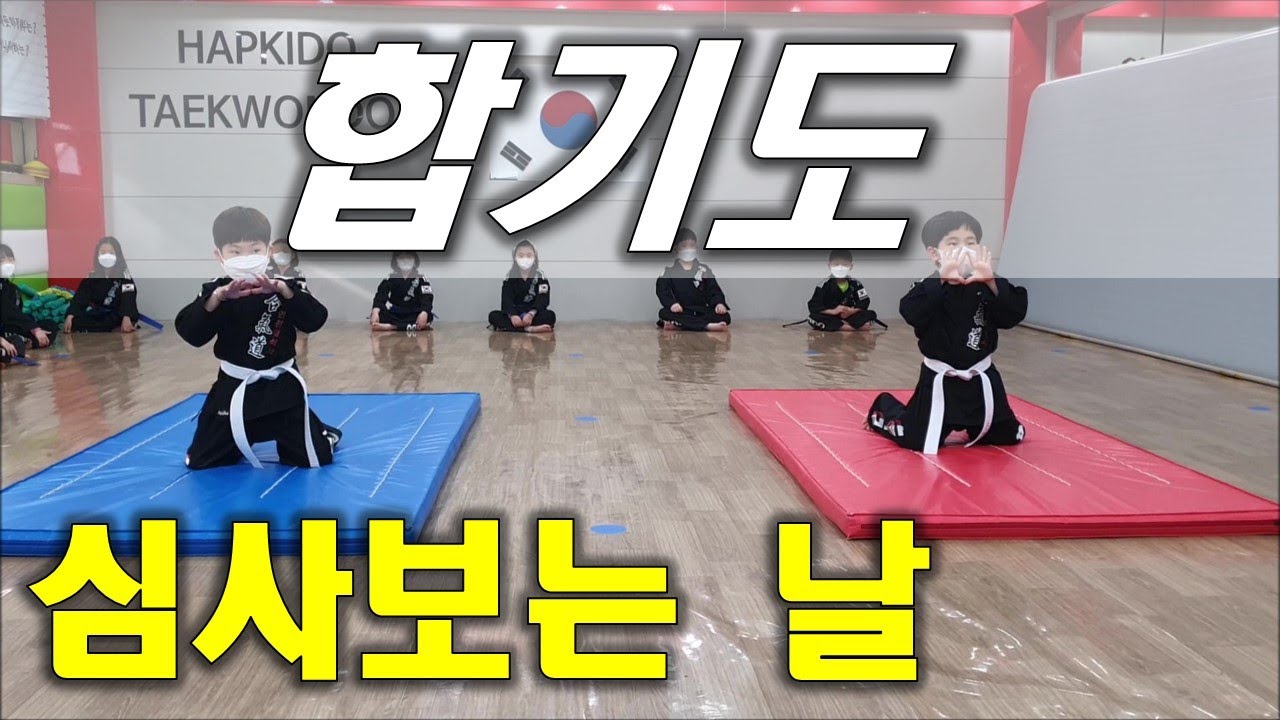 합기도흰띠 첫 심사 [귀여워ㅋㅋ]