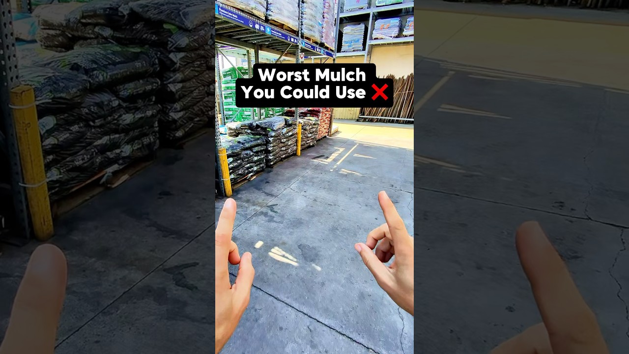 Worst mulch you could use #Shorts #Gardening #Fruits #Mulch #GrowYourOwnFood #Landscaping #Grow ￼