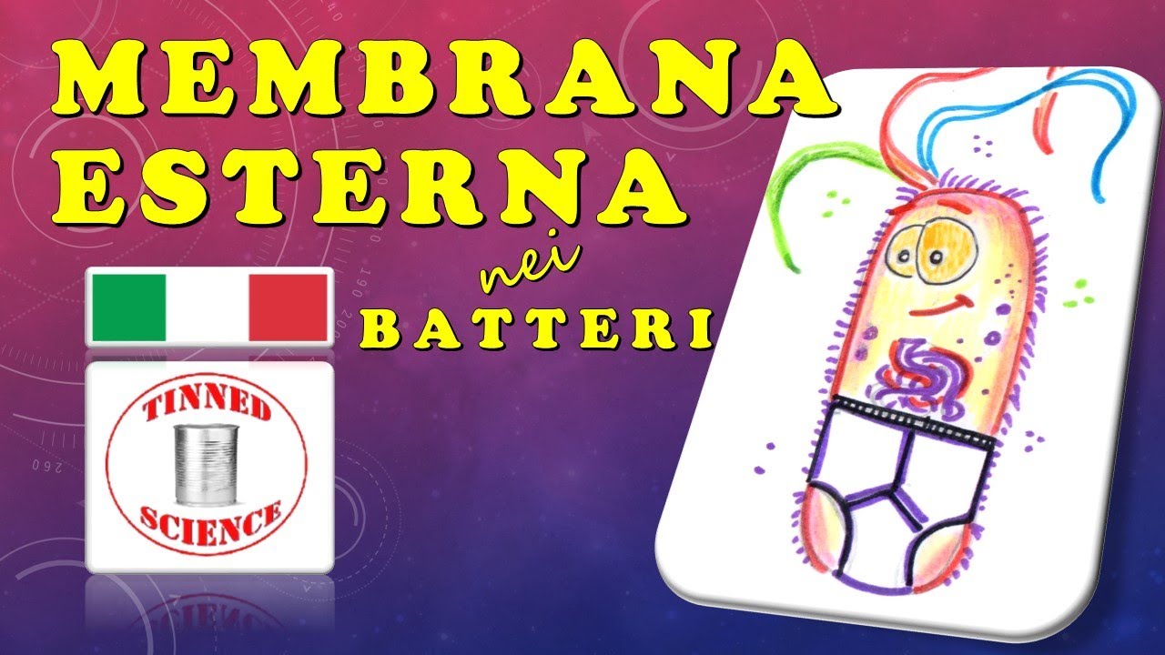Ep.2 - La Membrana Esterna dei Batteri (in Italiano)