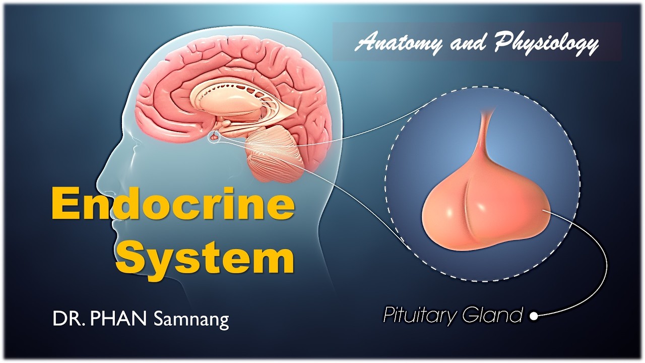 Lecture 1|| Posterior Pituitary Gland