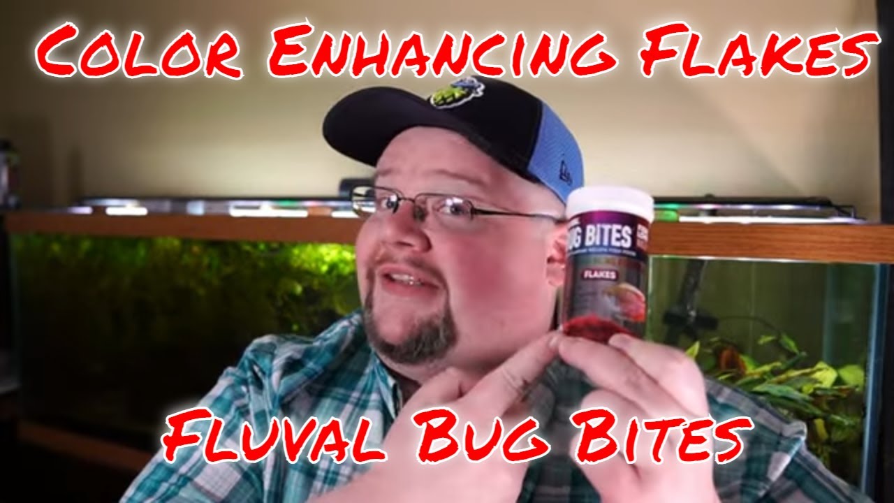 Fluval Bug Bites Color Enhancing Flake and Spirulina Flake - Product Review