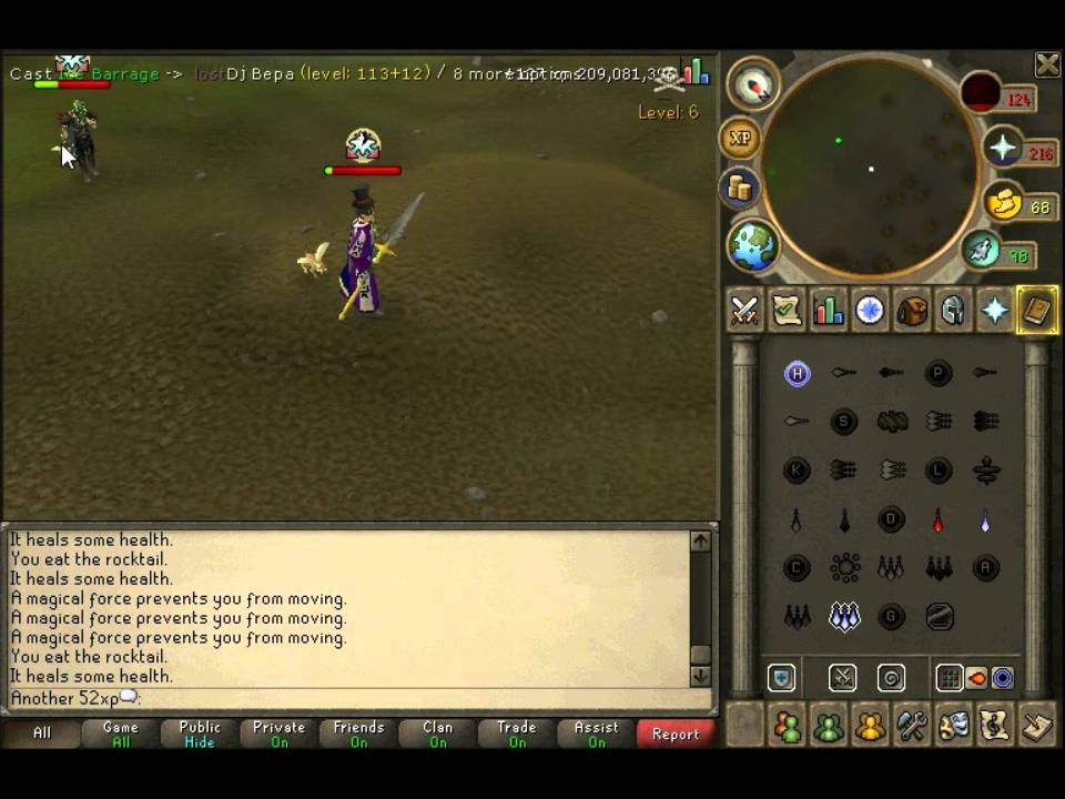 revolutionx/matrix rsps hybrid pking 2