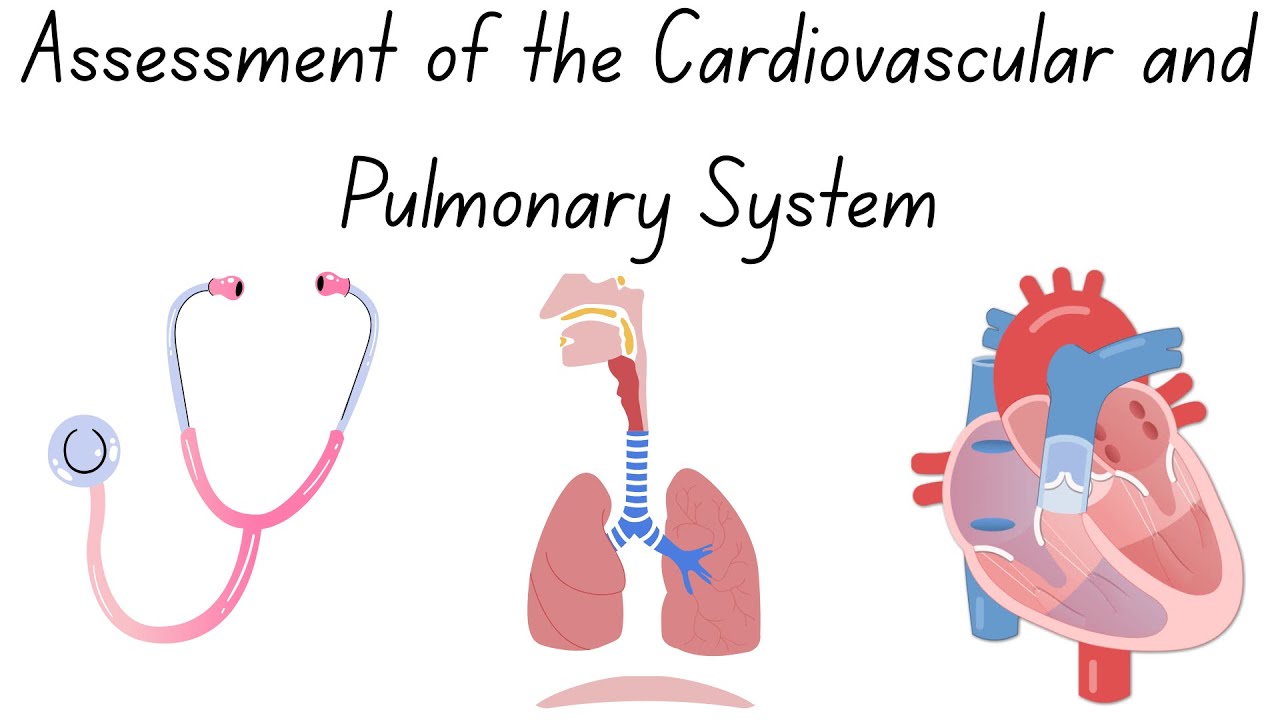 🫁 Clinical Chest Assessment Explained | Physiotherapy Essentials 🩺