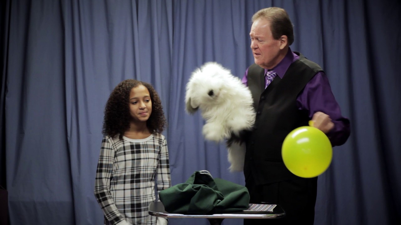 David Ginn Magic #67 Magical Sheepdog