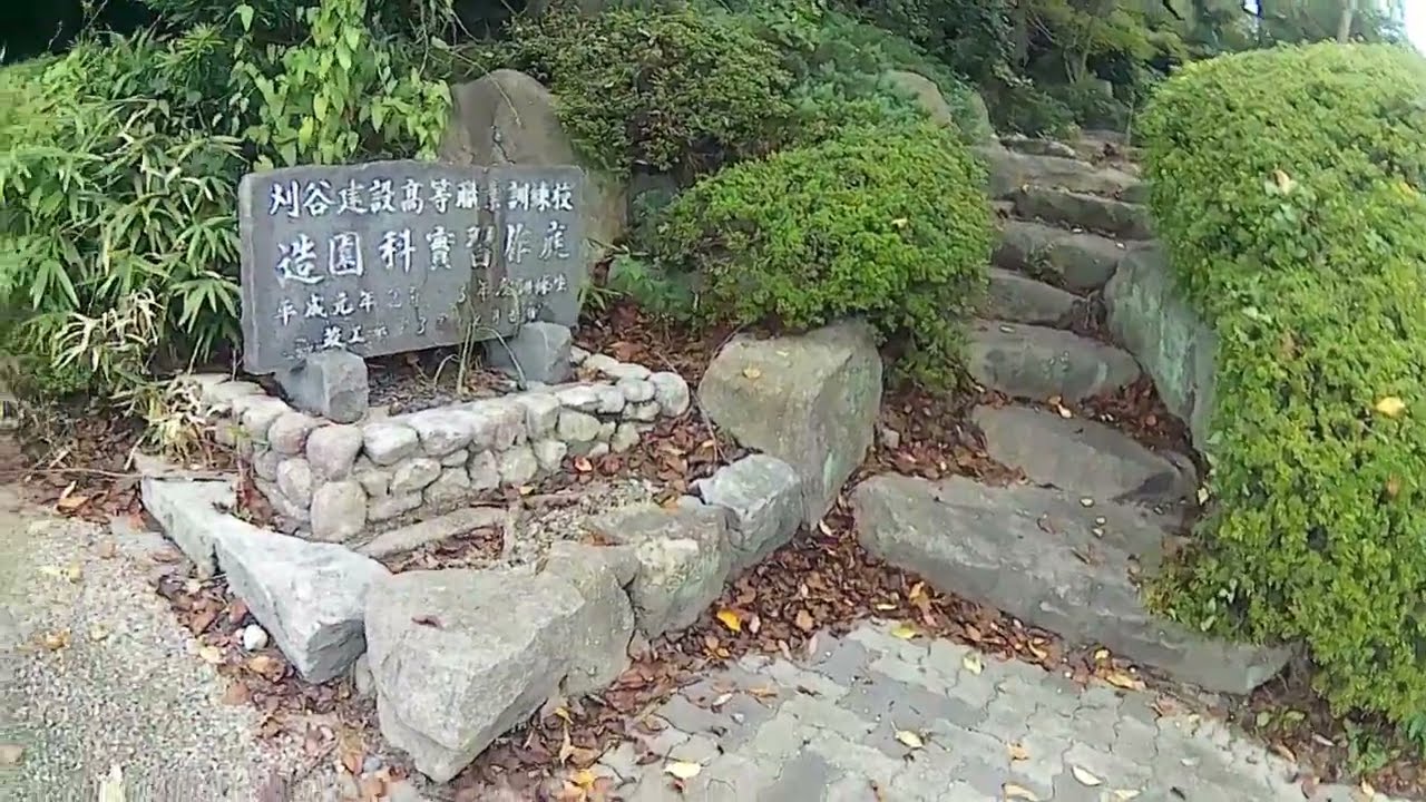 作業用バス停散歩動画 十月号 後半 東浦町 新田線 ファイル1 知多東浦インター東～知北平和公園経由～知多東浦インター付近迄