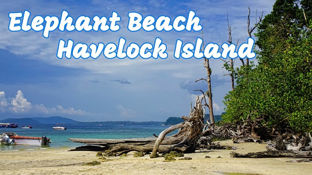 Elephant Beach - the best place for water adventures | Havelock Island