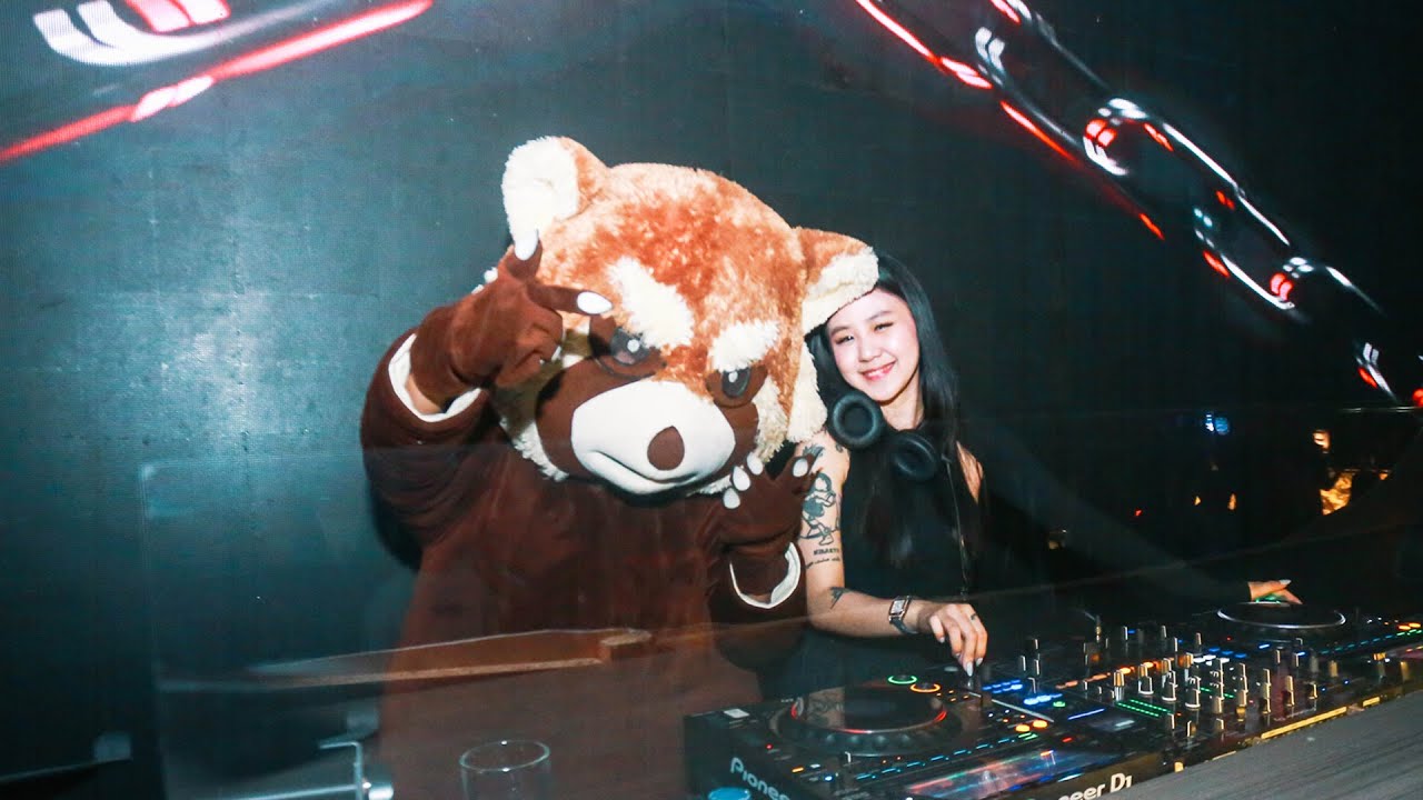 JENNIE LIVE SET | MIZU COMMON ROOM