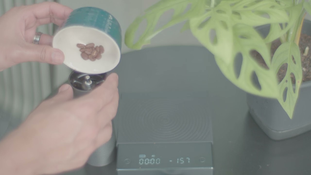 New Year Afternoon Relaxing Pour Over With Hario v60  Coffee | Sore-sore Bikin Kopi Pakai V60 Hario