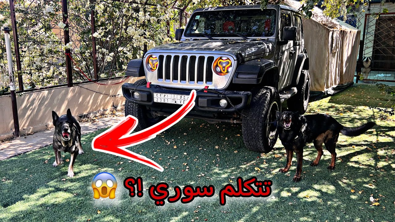 زوجة كلايمر الجديده طلعت عجوز ماتفهم الا اللهجه السوريه 😰💔