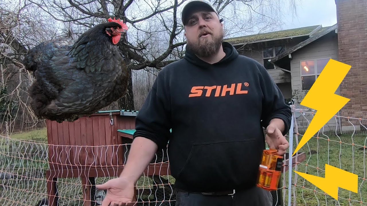 Electric fence for chickens - Gallagher energizer VS Patriot battery fence energizer