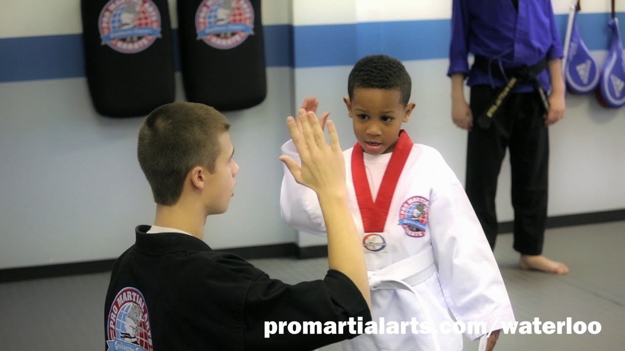 Pro Martial Arts Waterloo -  60 Second Overview