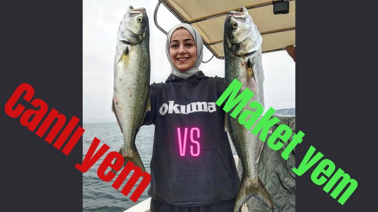 CANLİ YEM VS MAKET YEM (KİM KAZANDI SİZ KARAR VERİN.)