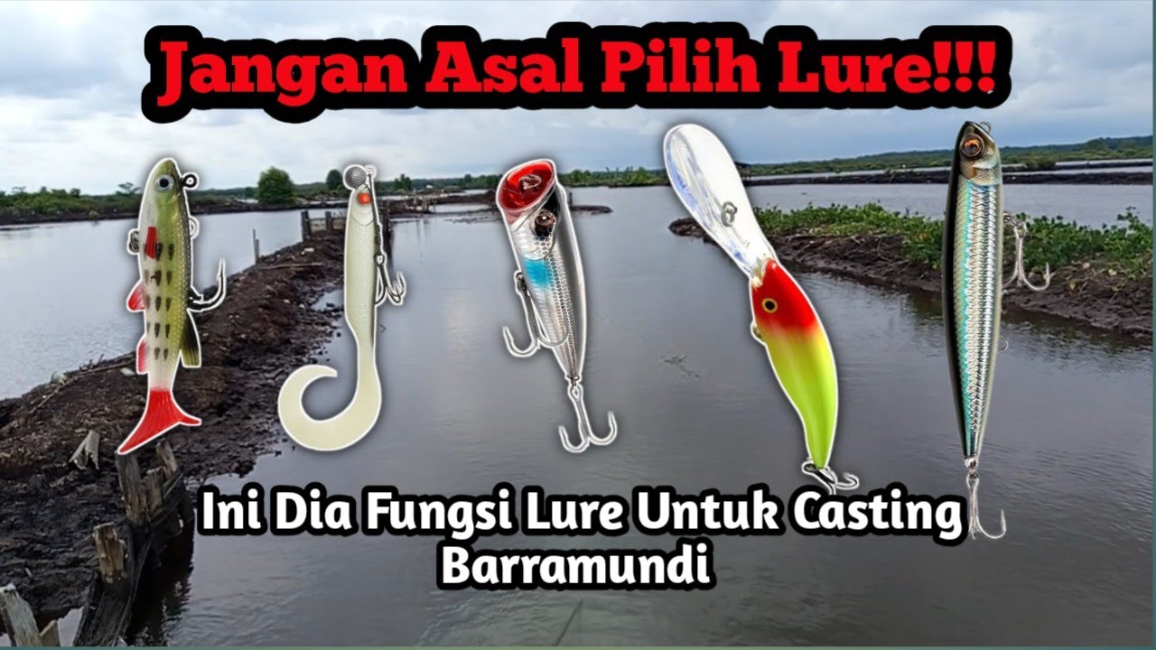 Ingin Mancing / Casting Barramundi Selalu Strike? Coba pakai Lure di Video kali ini
