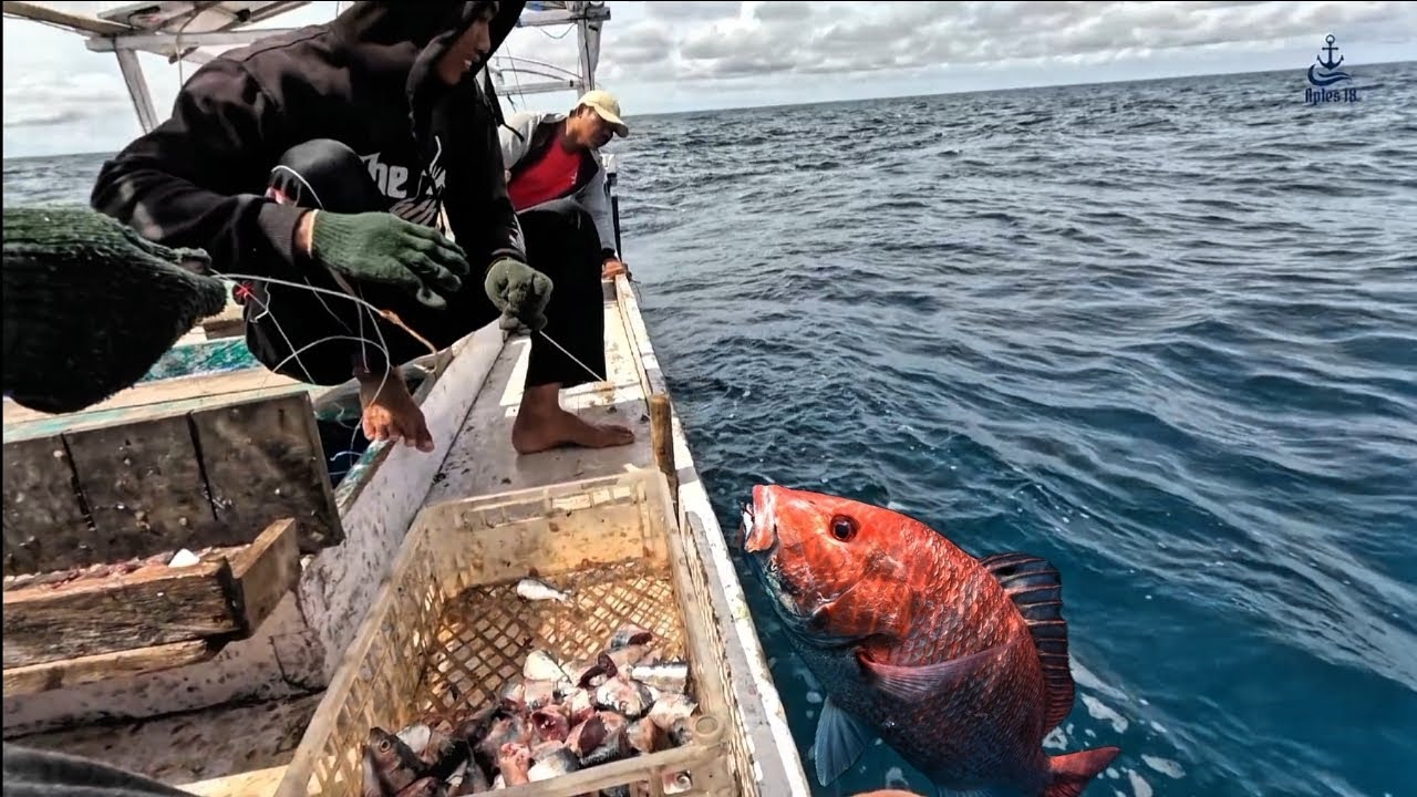 Ikan Super Semua | Hasil Rawai Kali ini