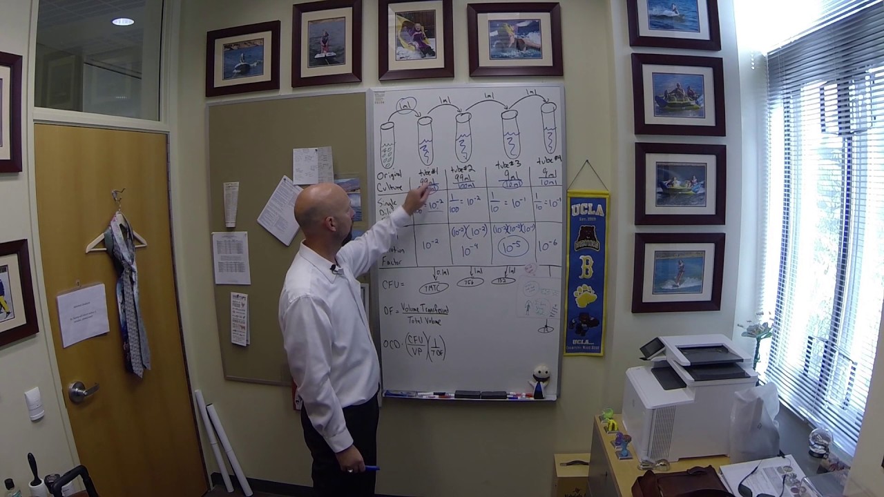 Serial Dilutions Video Tutorial