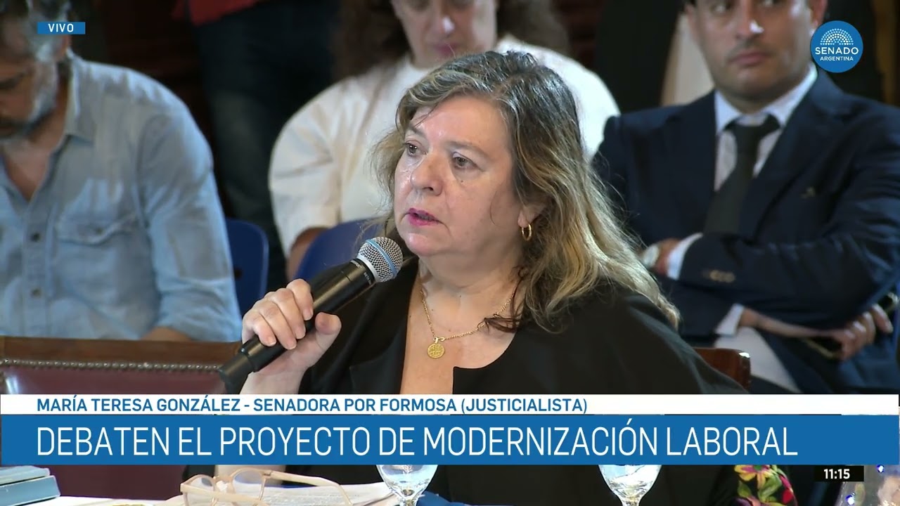SENADORA TERESA GONZÁLEZ 2 - PLENARIO DE TRABAJO Y DE PRESUPUESTO 20-02-26