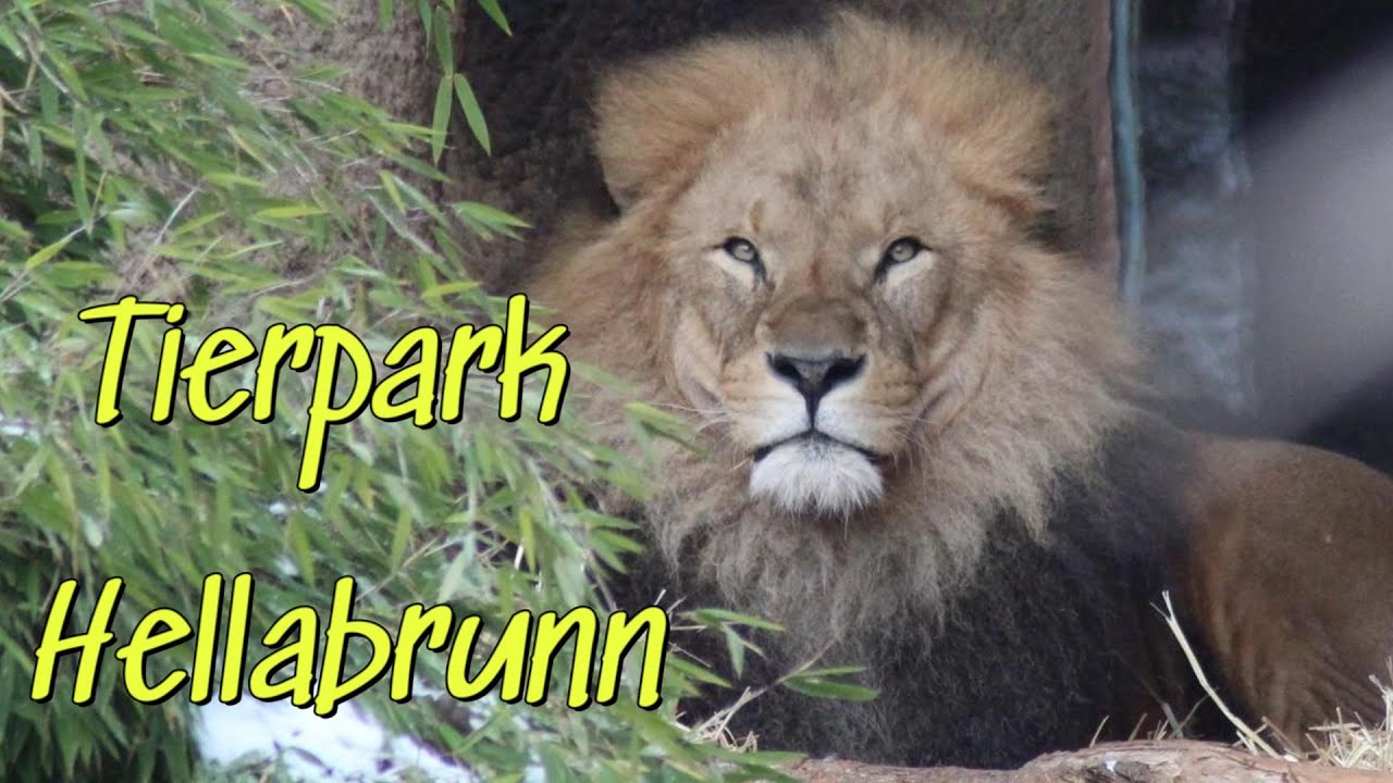 # 47 Tierpark München Hellabrunn