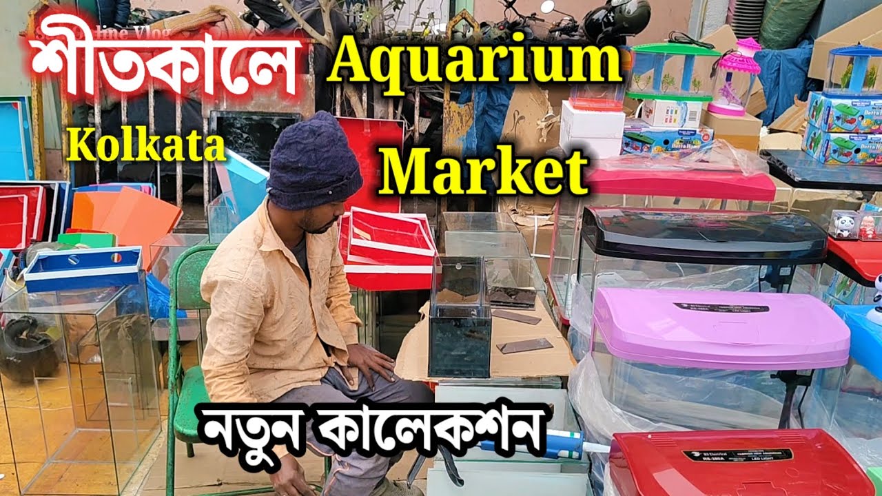 শীতকালে Aquarium Collection | Gallif Street Fish Market Kolkata | Aquarium Price
