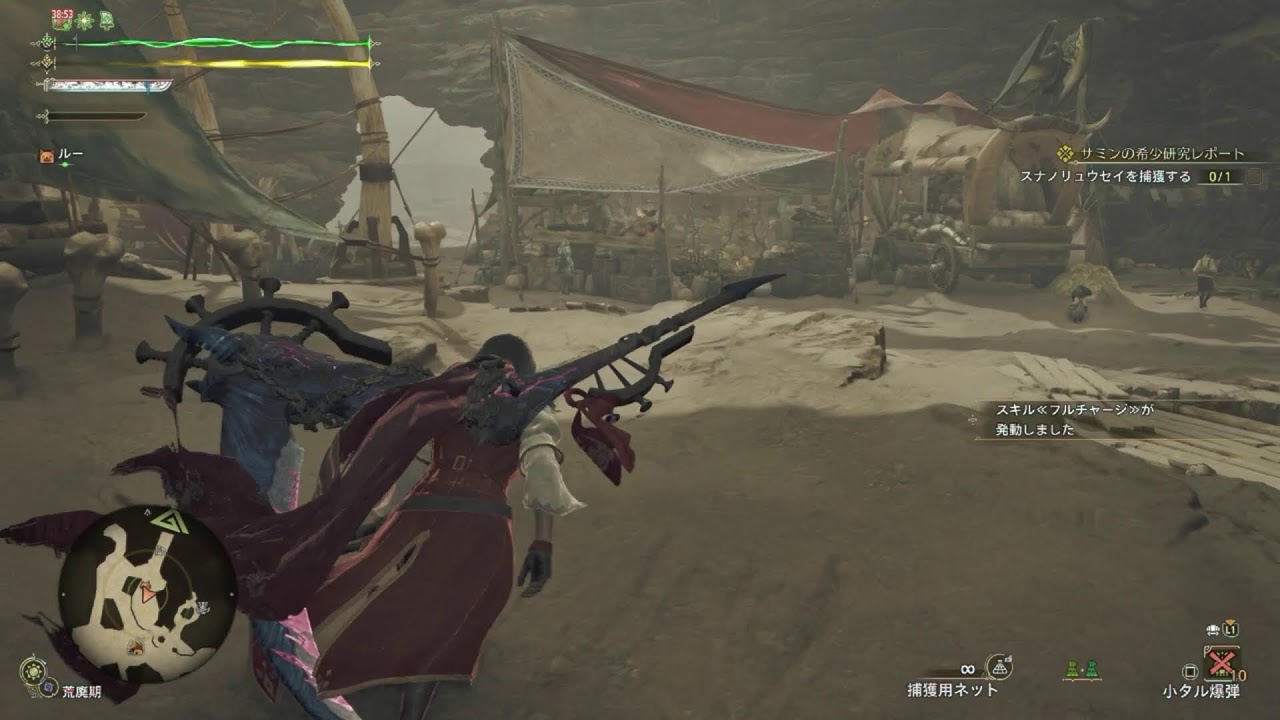 Monster Hunter Wilds #61