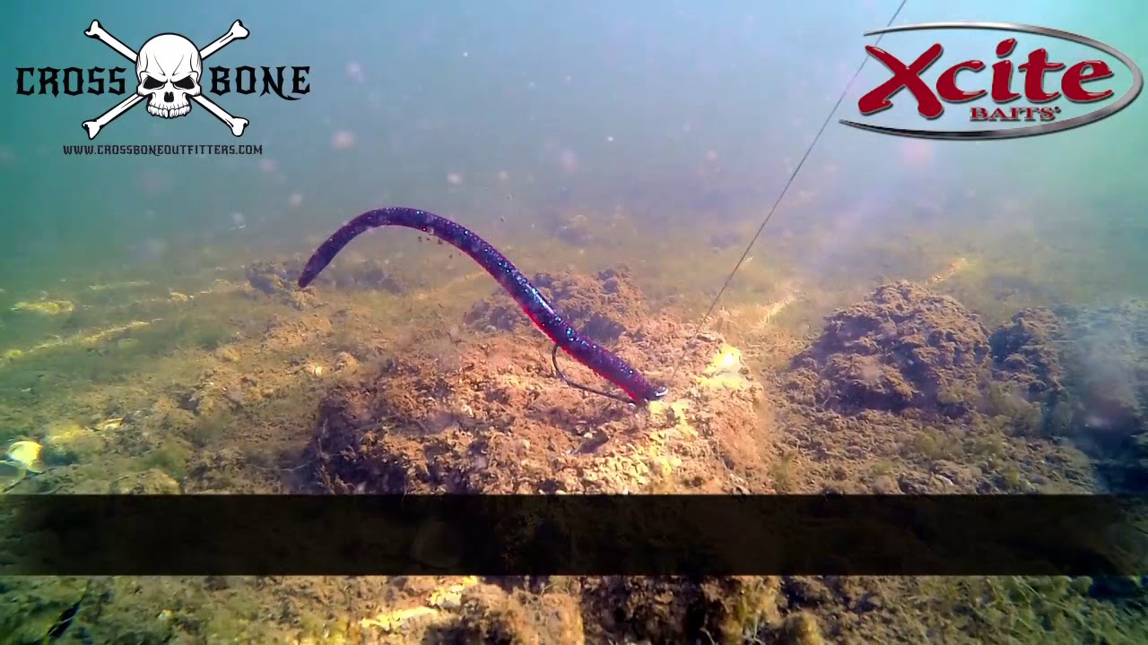 XCite Baits Maximus Awesome Bass Fishing