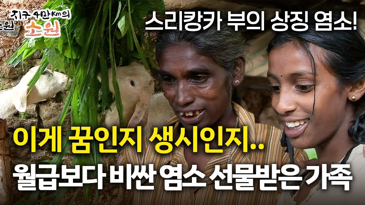 [지구 4만Km의 소원] 이게 꿈인지 생시인지.. 월급보다 비싼 염소 선물받은 가족