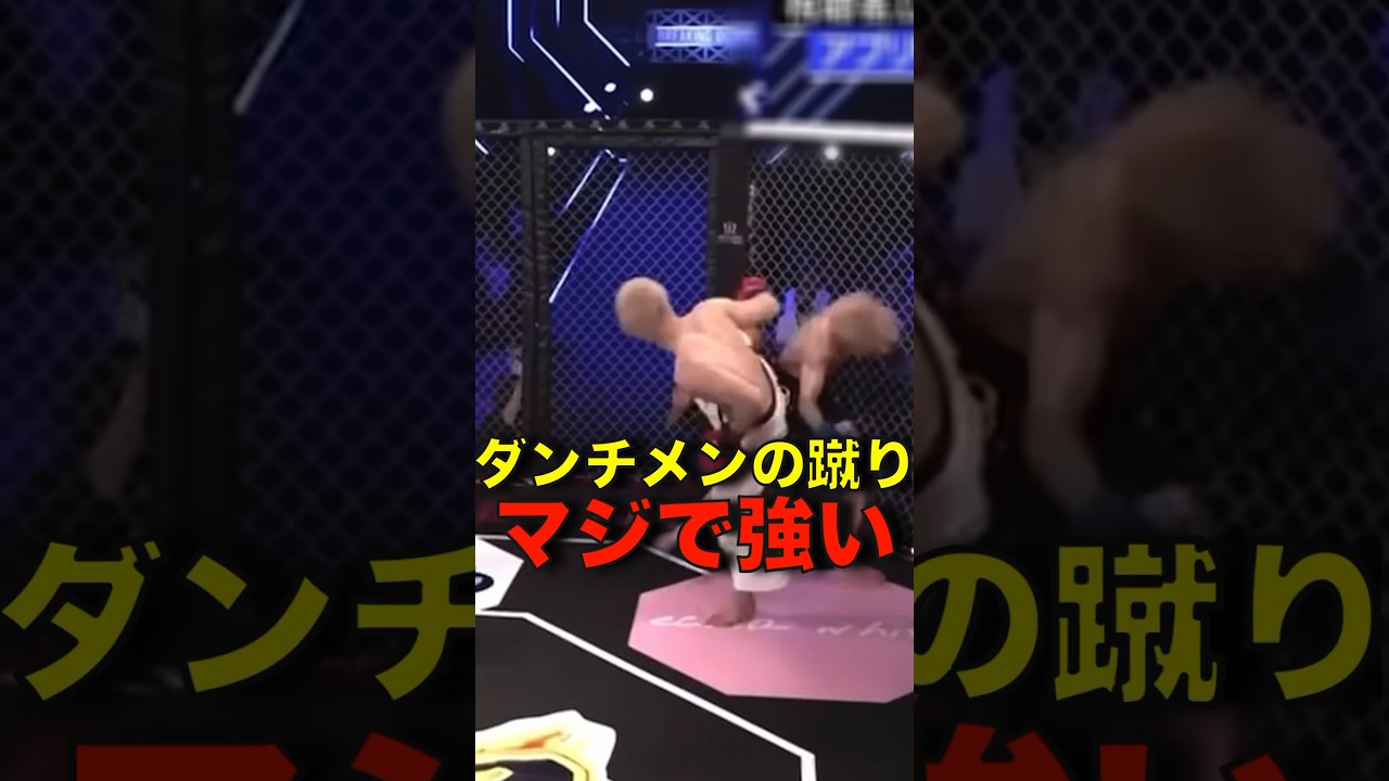 ダンチメンの蹴りが最強！ #shorts