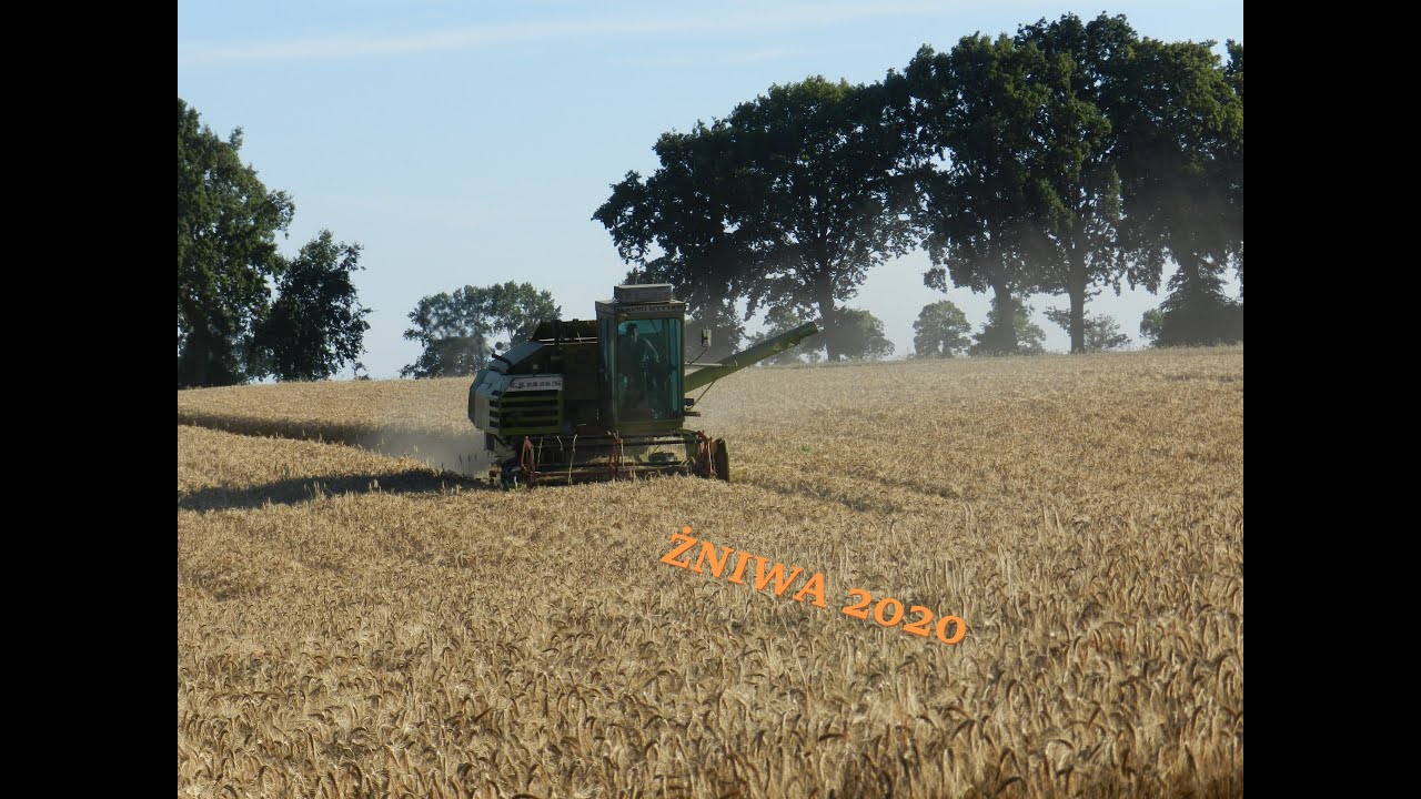 ŻNIWA 2020
