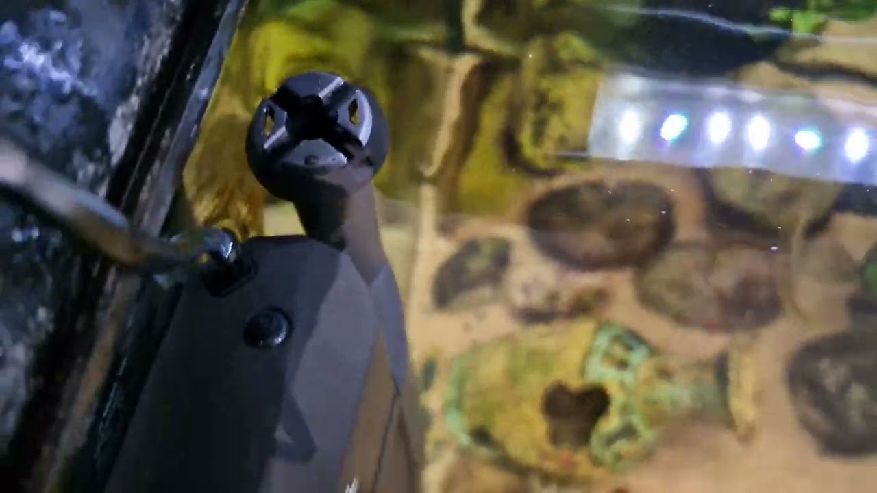 NEWA Cobra Internal Aquarium Filter With Built in Surface Skimmer