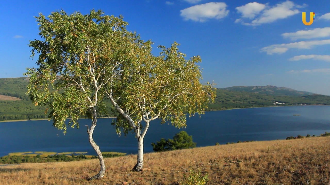 Геометка. Озеро Талкас