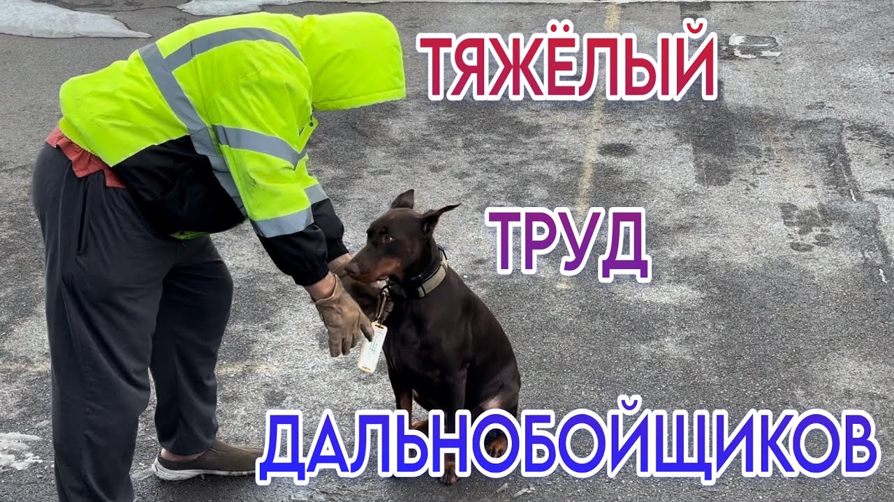 ТЯЖЁЛЫЙ ТРУД ДАЛЬНОБОЙЩИКОВ. ЛЕДЯНОЙ ШТОРМ В ОРЕГОНЕ.