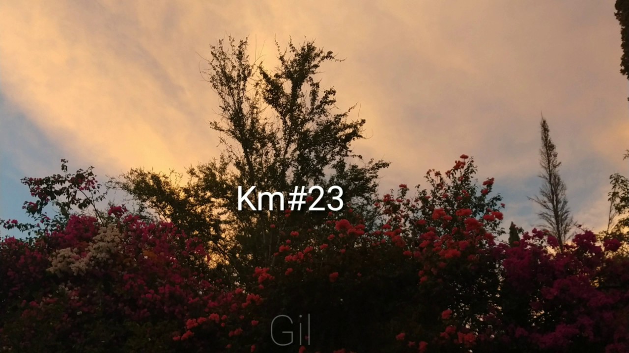 Km23 // Gil