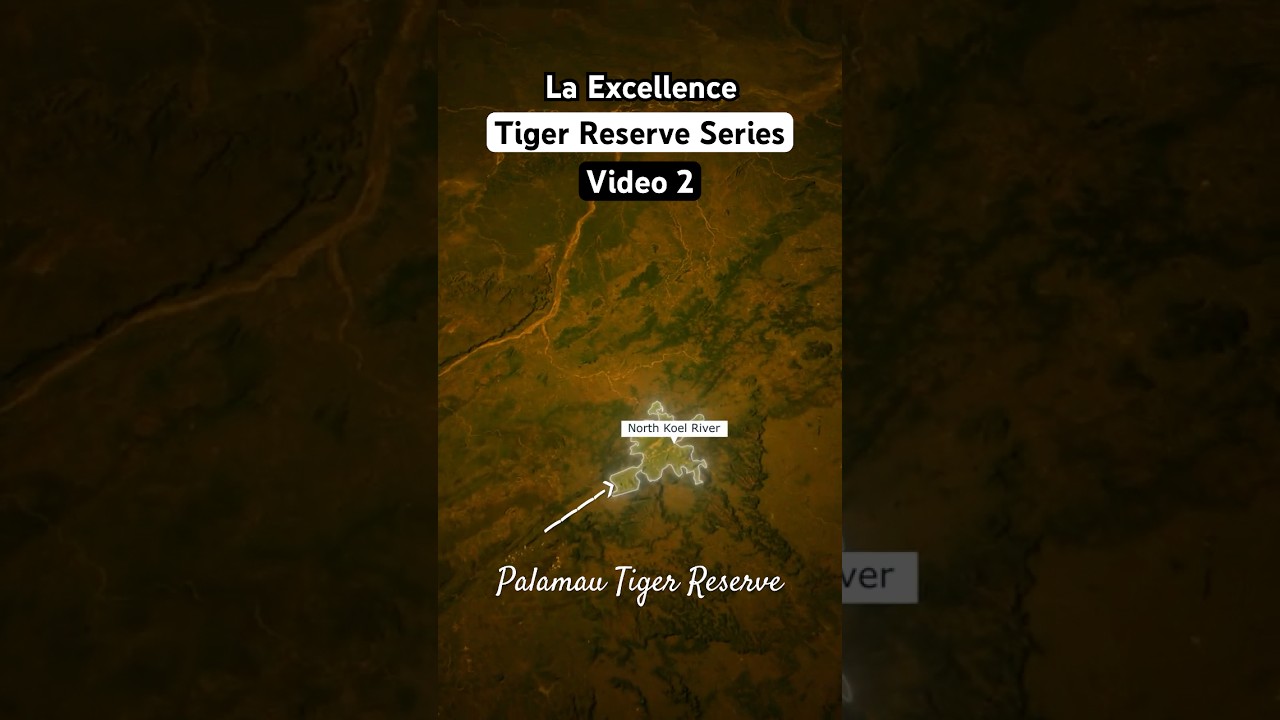 Palamau Tiger Reserve: The pride of Jharkhand!