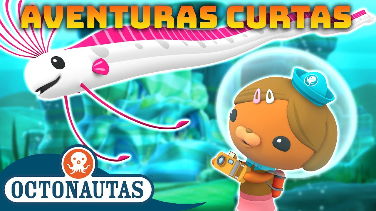 Octonautas - 📸 Aventuras Curtas! 🌎 | Compilação | Episódios inteiros