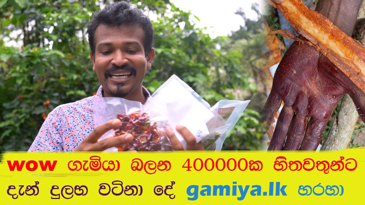 wow 400000 subscribers. දුර්ලබ වටිනා දේ ඔබ වෙනුවෙන්ම gamiya.lk වෙබ් අඩවියෙන්