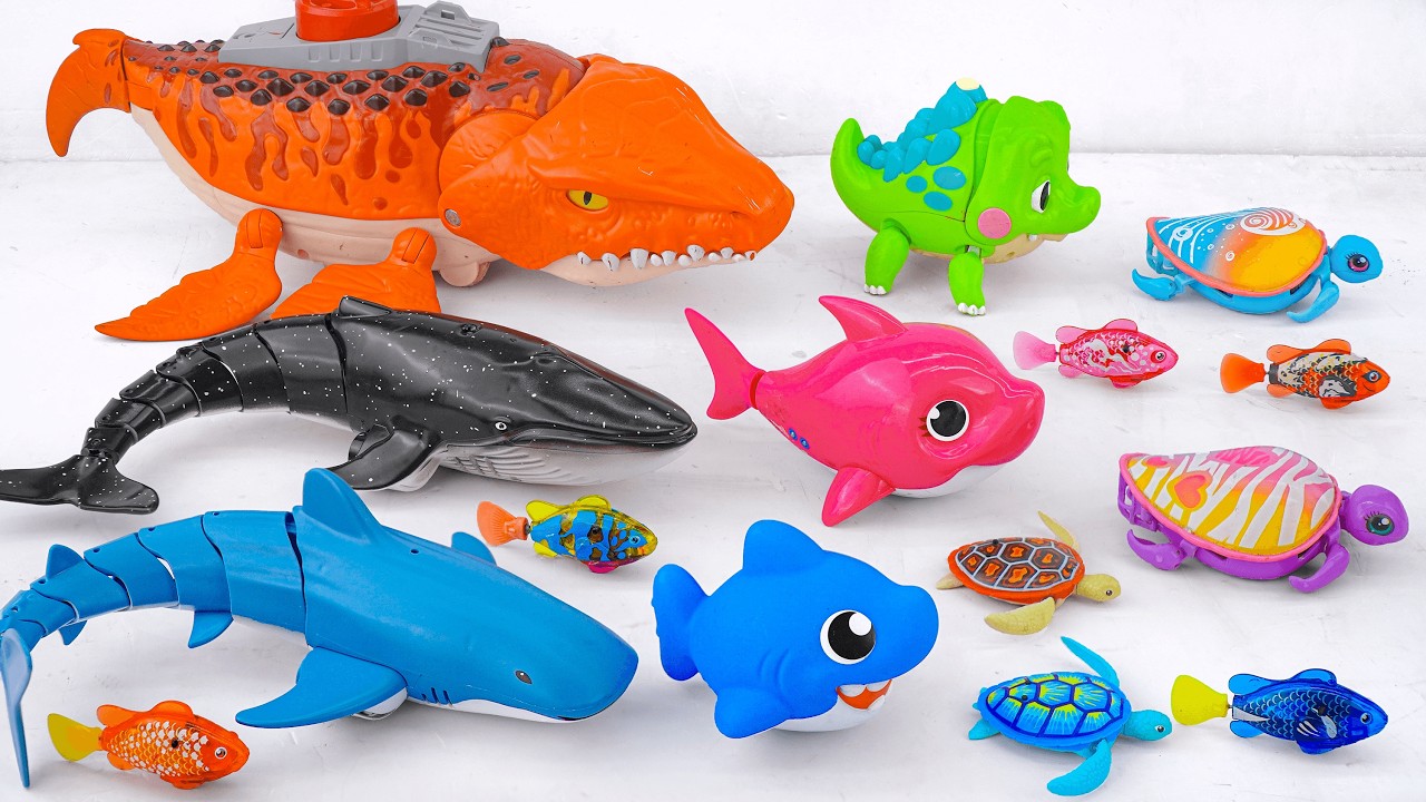 [Toy asmr]RC Mosasaurus & Killer Whale& Zuru Robo Fish&Harp's Aquarium ASMR Satisfying with Unboxing