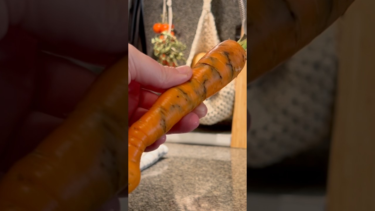 carrot fly damage 🫠 problem med morotsflugor