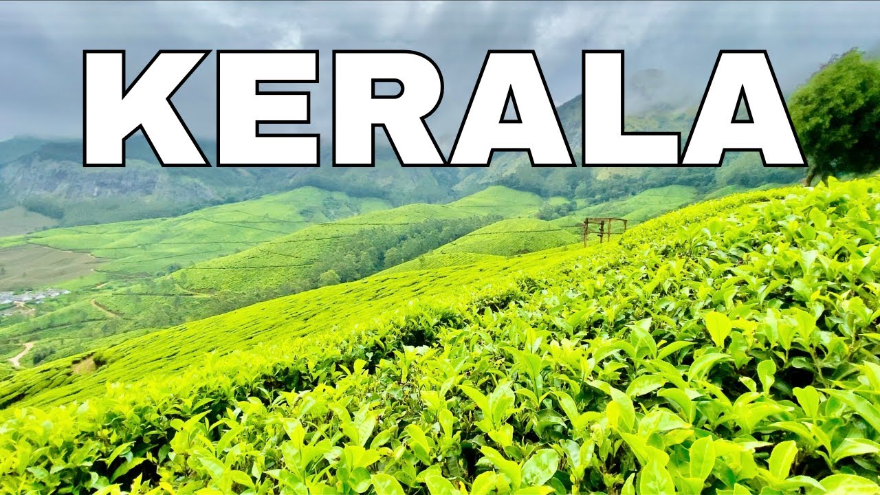 Kerala Tourist Places | Alleppey | Munnar | Idukki | Kolukkumalai | Best places to visit in Kerala