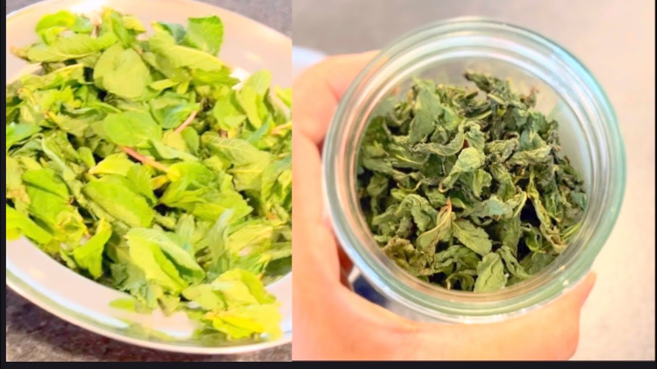 How to Store Mint Leaves 🌿 | पुदीना लंबे समय तक कैसे स्टोर करें