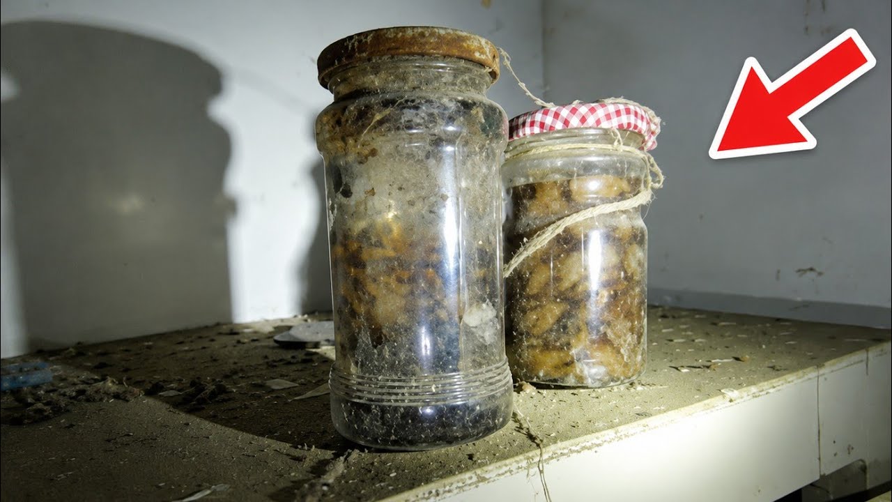 Encontré PEQUEÑA CASA ABANDONADA en MEDIO del BOSQUE | Sitios Abandonados