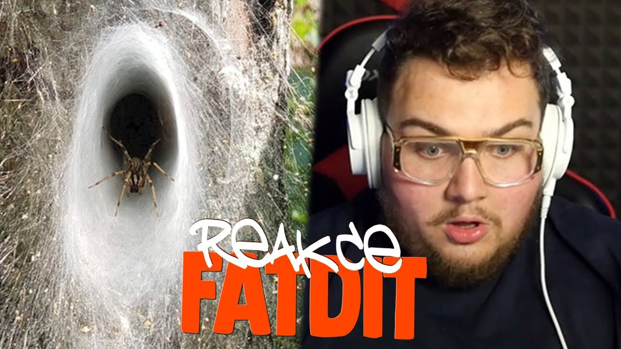 TOHLE NECHCEŠ VIDĚT V LESE