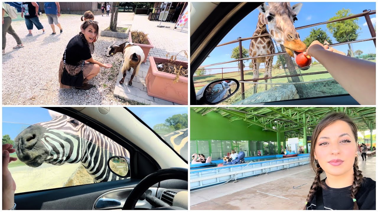 Nje shetitje ne kopshtin zologjik 🦒🦓🦜🦍🐃🐪😍😍
