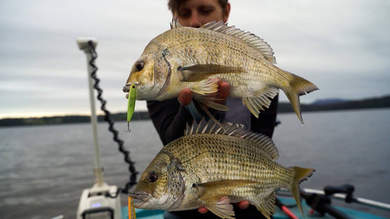 Mallacoota Flats Madness - Bream On Topwater
