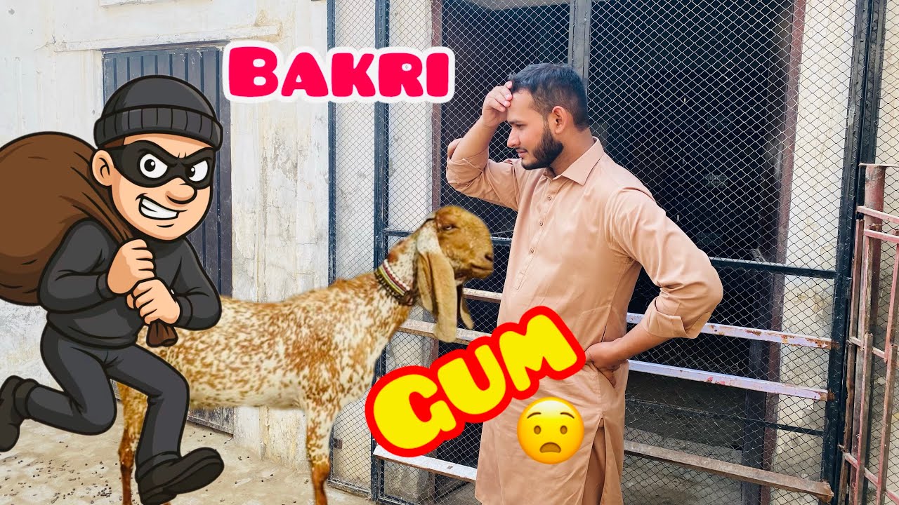 Hamari Bari Bakri Nahi Mill  Rahi 😧/Gum😭