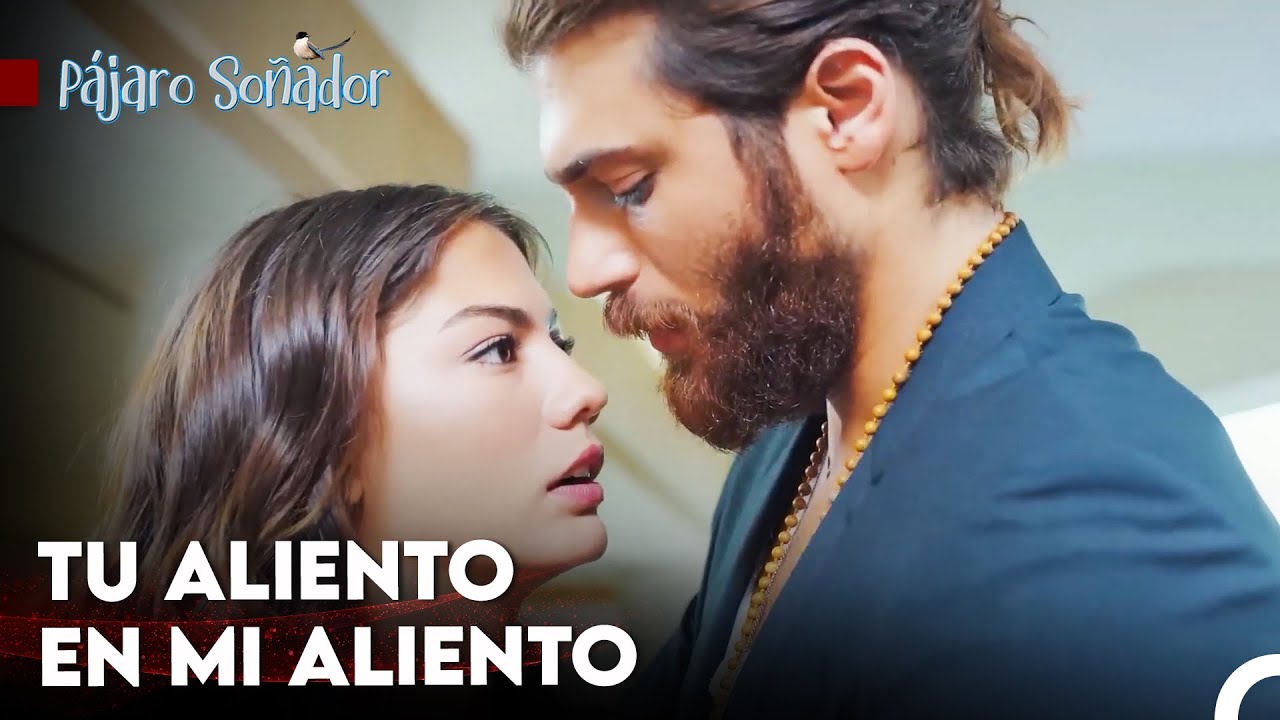 El Amor Está Oculto En Tus Labios - Pájaro Soñador