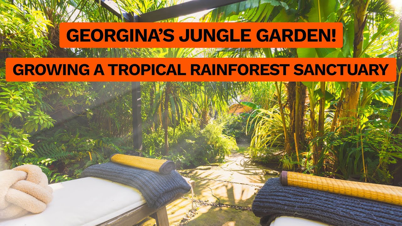 Creating a Relaxing Jungle Garden Escape with Georgina Yates